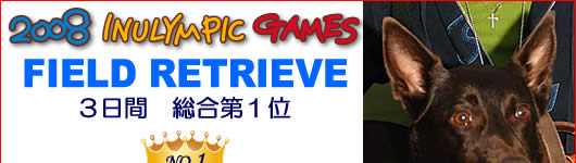 �h�b�O�^�C�����[�X�ő�������I