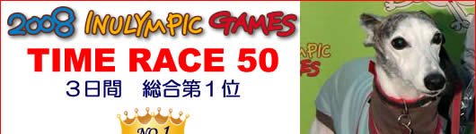 �h�b�O�^�C�����[�X�ő�������I