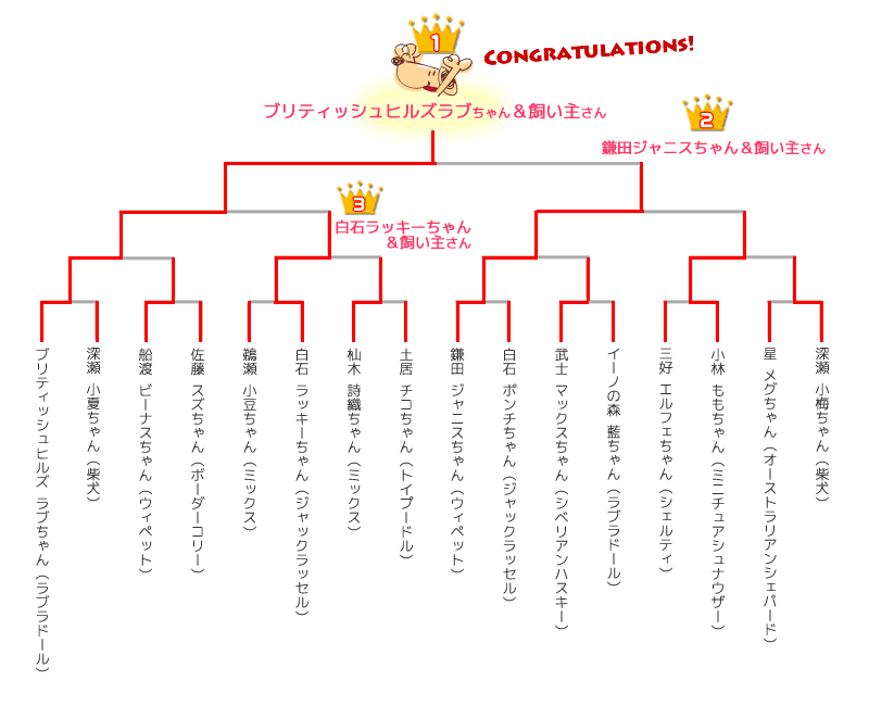 タイムレース50+50トーナメント