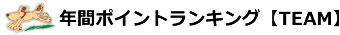 年間ポイントランキング【TEAM】