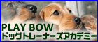 �v���C�{�D�@�h�b�O�g���[�i�[�Y�A�J�f�~�[