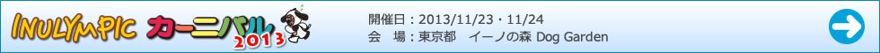 イヌリンピックカーニバル2013ゲーム結果