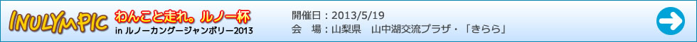わんこと、走れ。ルノー杯 in ルノーカングージャンボリー2013